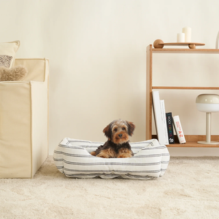 Pet Beds & Mats