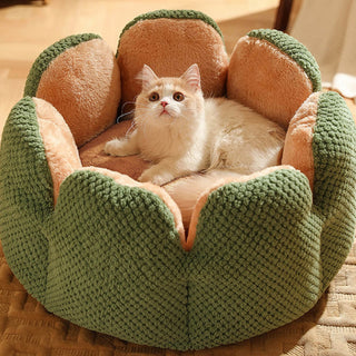 Cactus Shape Comfy Dog/Cat Bed