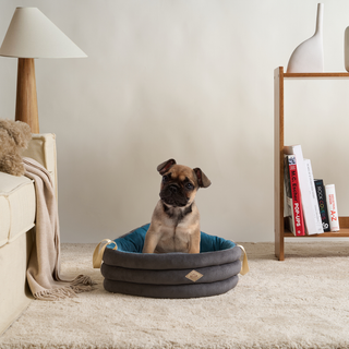 Corduroy Comfort Dog & Cat Basket