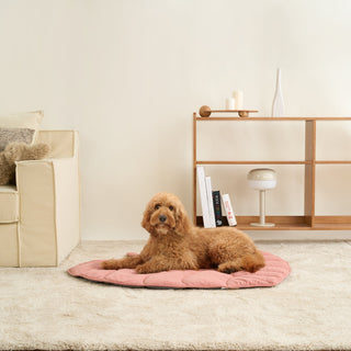 Leaf Lounger Pet Blanket