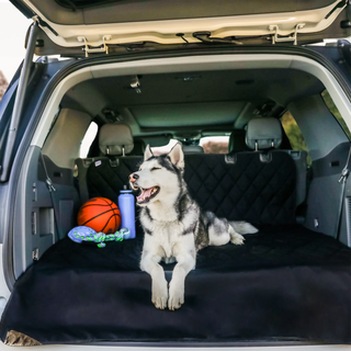 Non-Slip Waterproof SUV Cargo Mat for Dogs