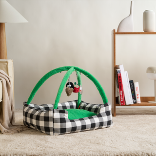 Playful Paws Interactive Cat Bed