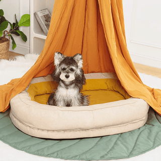 Dozy Donut Pet Bed