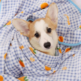 Super Soft Kneading Dog & Cat Blanket