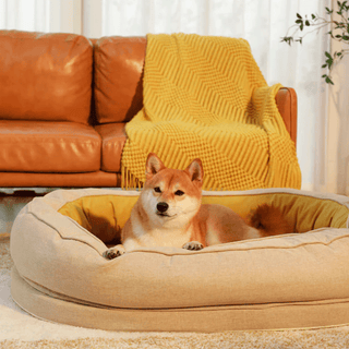 Dozy Donut Pet Bed