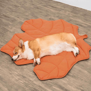 Furry Foliage Pet Mat