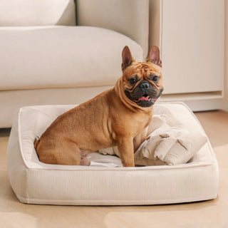 Comfort Orthopedic Support Dog Sofa Bed with Pillows