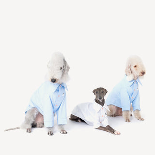 Cooling Anti-Allergy Bamboo Dog Shirt