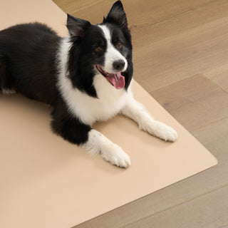 Leather-Textured Waterproof Floor Mat