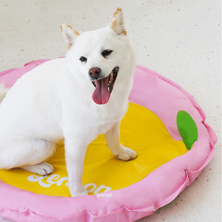 ZEZE Pets Ice Lemon Pet Bed