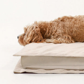 Anti-Anxiety with Sponge Support Deep Sleeping Dog Bed