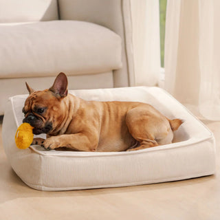 Comfort Orthopedic Support Dog Sofa Bed with Pillows