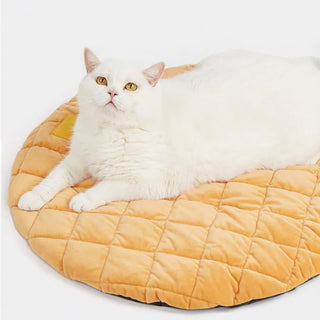 Donut Shaped Multi-Purpose Washable Dog & Cat Bed with Squeaky Pillow