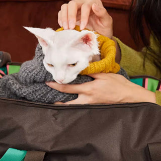 Stylish Dog & Cat Travel Tote for Dogs and Cats