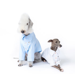 Cooling Anti-Allergy Bamboo Dog Shirt