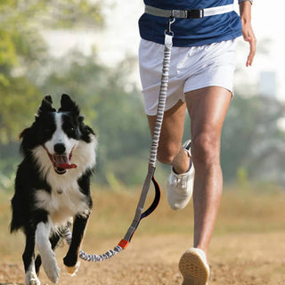 Retractable Double-Handled Multifunctional Dog Walking Leash