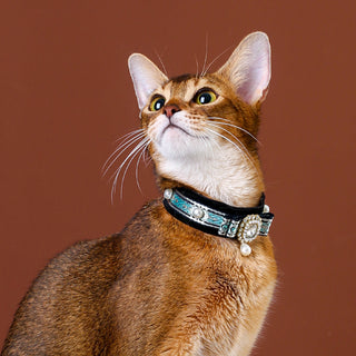 Velvet Choker Collar for Cats