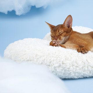 ZEZE Pets Cloud Pet Bed