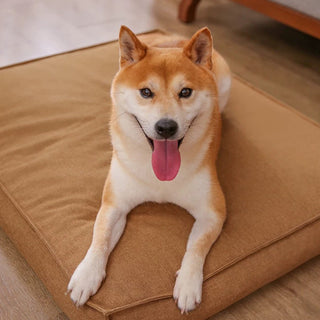 Portable Orthopedic Foam Support Bed Dog Bed