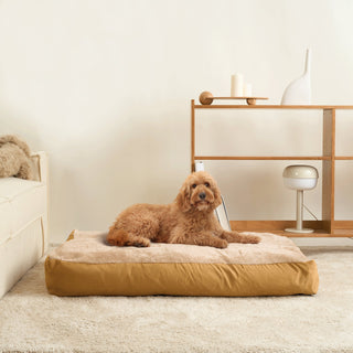 Snuggle Spot Pet Bed