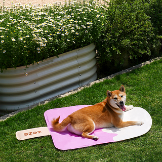 ZEZE Pets Cooling Ice Cream Pet Mat