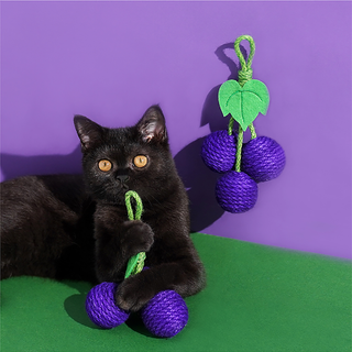 ZEZE Pets Tropical Fruit Cat Toys