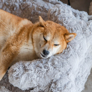 Warming Fluffy Bone Cloud Shape Calming Dog Bed