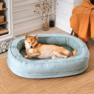 Dozy Donut Pet Bed