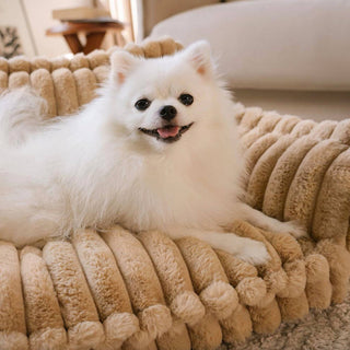 Large Washable Fluffy Orthopedic Soft Dog Pillow Dog Sofa Bed-Snoozy Dream