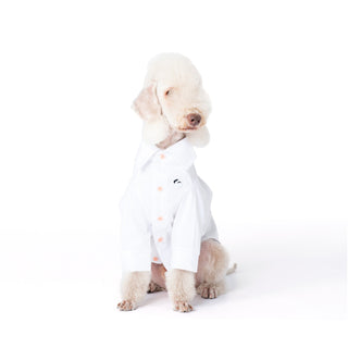 Cooling Anti-Allergy Bamboo Dog Shirt