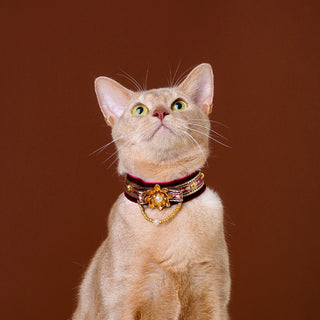 Velvet Choker Collar for Cats